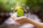 istockphoto-1263548947-612×612 Hand holding a bubble of leaf with eco icon and Nature background metaphor sustainable lifestyle and Eco friendly
